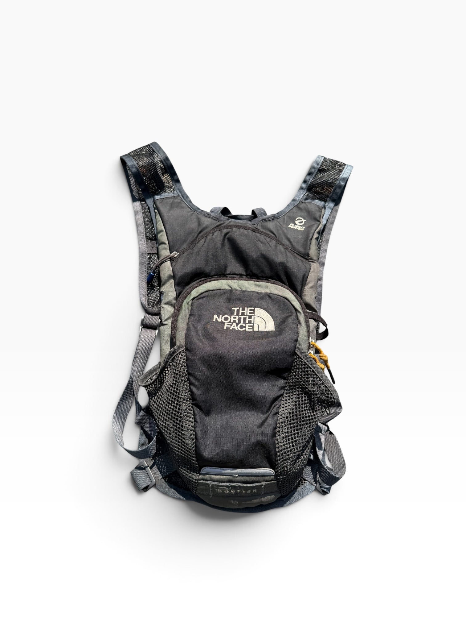 The North Face Dogfish Flight Series backpack back view